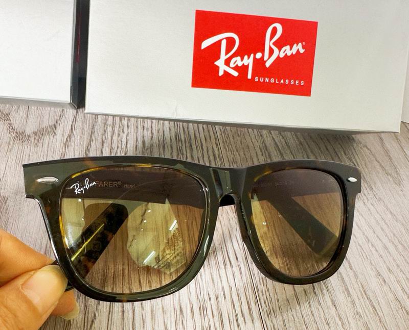 Rayban Glasses (41)